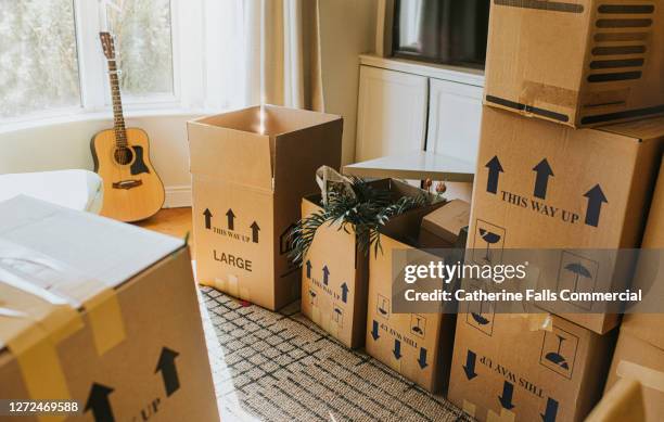 a sunny domestic room full of stacked cardboard boxes during the relocation process - auswanderung und einwanderung stock-fotos und bilder