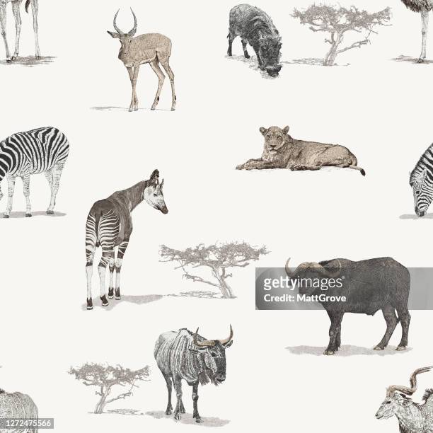 stockillustraties, clipart, cartoons en iconen met savannah afrikaanse dieren naadloos herhalen patroon - zebra print