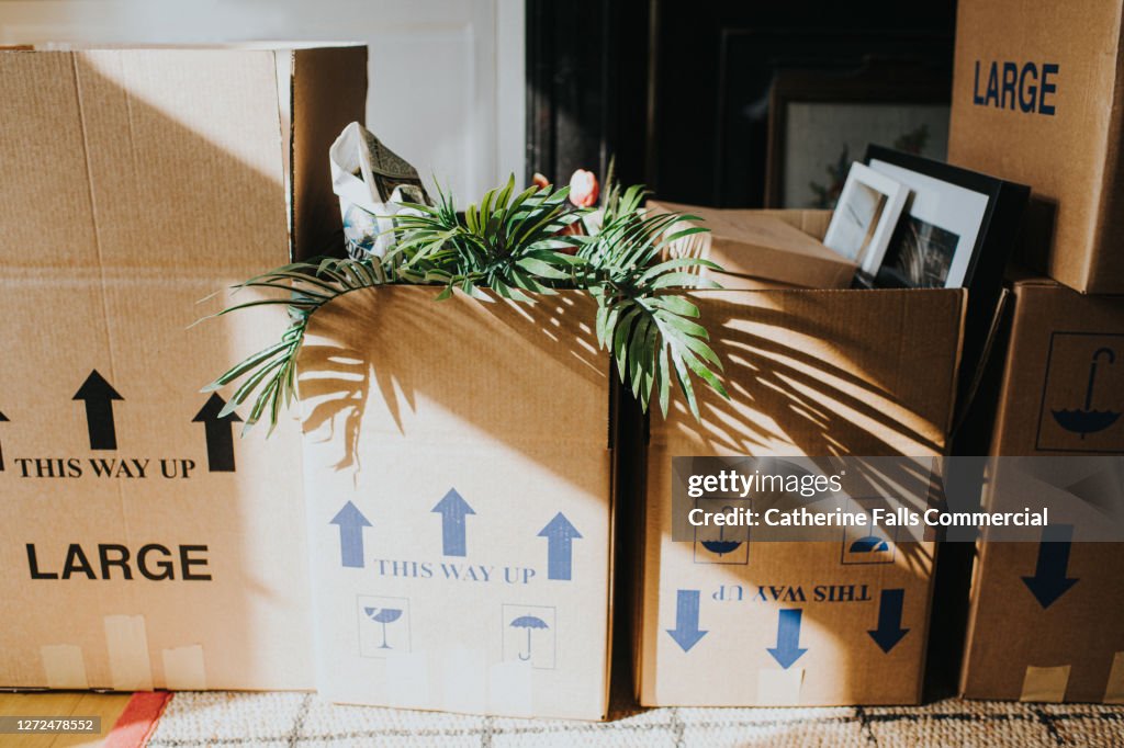 A row of Cardboard boxes in a Domestic room during a House Move