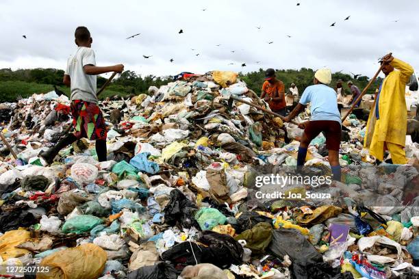 garbage recycling material collectors - landfill stock pictures, royalty-free photos & images