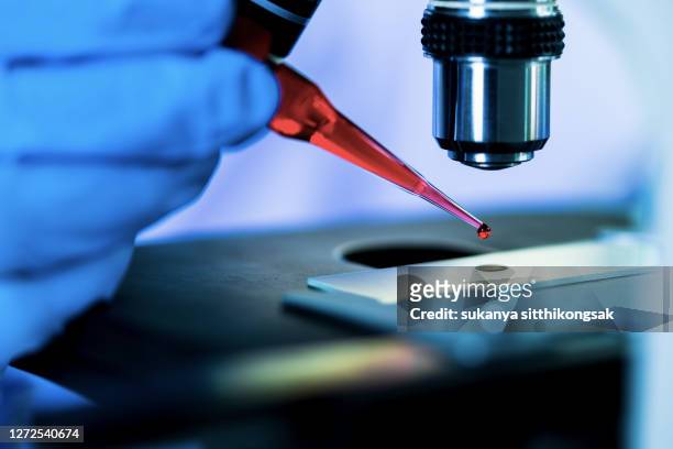 scientist in lab. - blood cancer cell stock pictures, royalty-free photos & images
