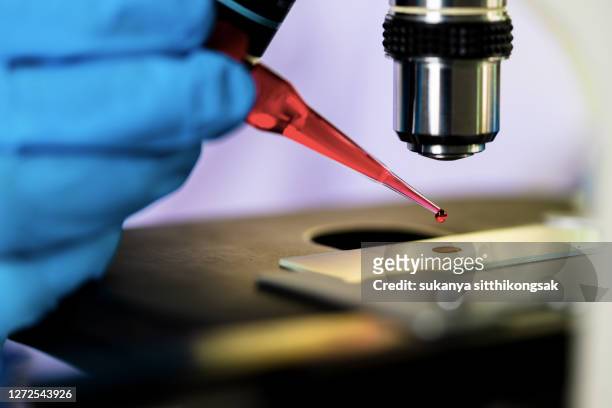 scientist in laboratory. - stem cells human foto e immagini stock