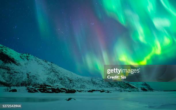 北極光,北極光在挪威北部的羅弗滕群島在冬季。 - aurora borealis 個照片及圖片檔