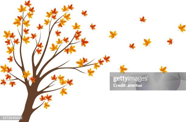 autumn tree - four seasons stock illustrations