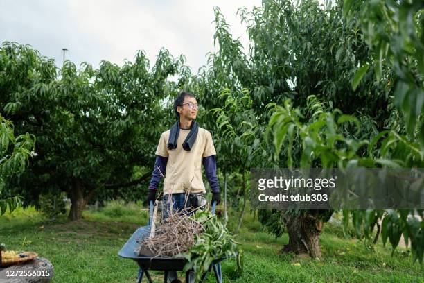 uomo adulto medio che spinge una carriola nella sua piccola fattoria - japan agriculture foto e immagini stock