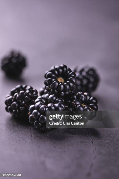 fresh berries - blackberry fruit stock pictures, royalty-free photos & images
