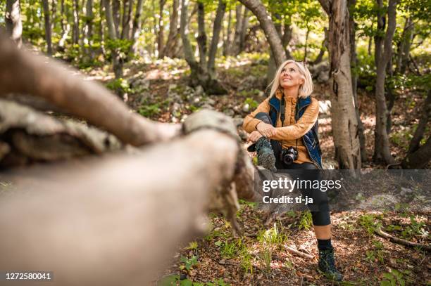 adult woman with a camera sitting on a tree trunk in woods - tree trunk stock pictures, royalty-free photos & images