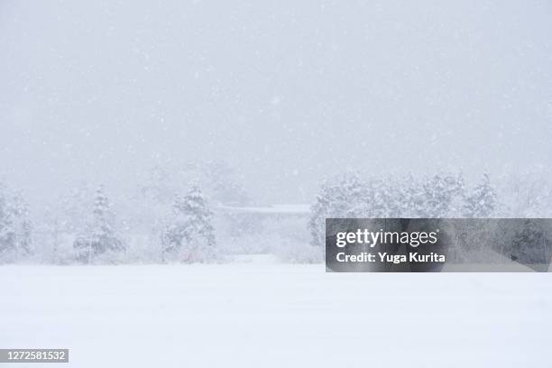 heavy snow in a rural village - snowfall in japan stock pictures, royalty-free photos & images