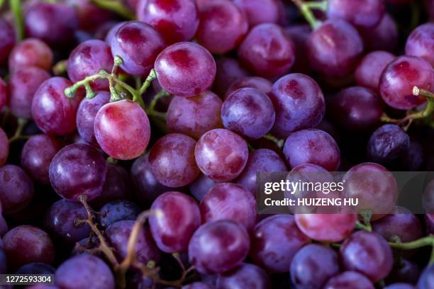 red grape, close-up - grappe de raisin photos et images de collection