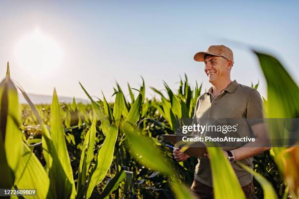 technology is a great asset - agronomist stock pictures, royalty-free photos & images