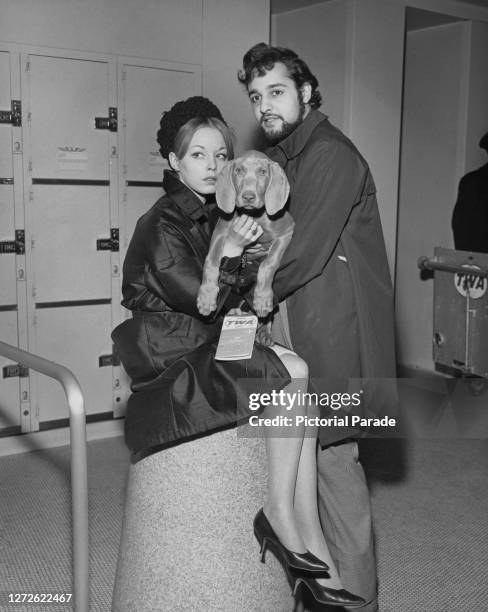 English-American actress Jill Haworth with American actor, singer, and director Sal Mineo with his puppy, Dov, at LaGuardia Airport, New York, US,...