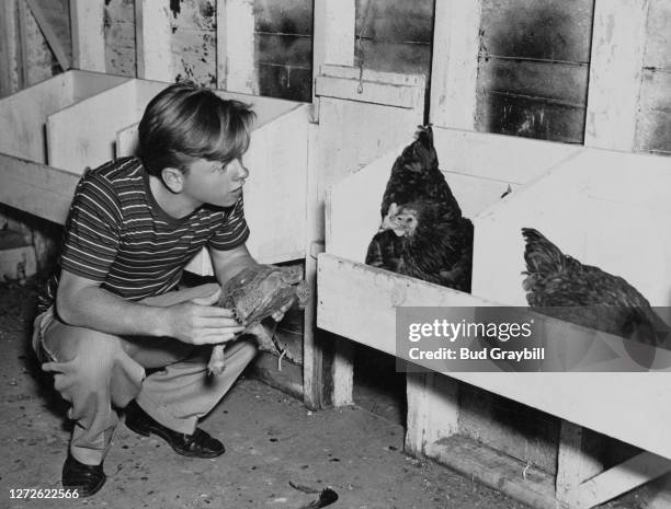 Mickey Rooney talks to his rooster while holding a pet turtle at his ranch in San fernando Valley, California, US, 1937.