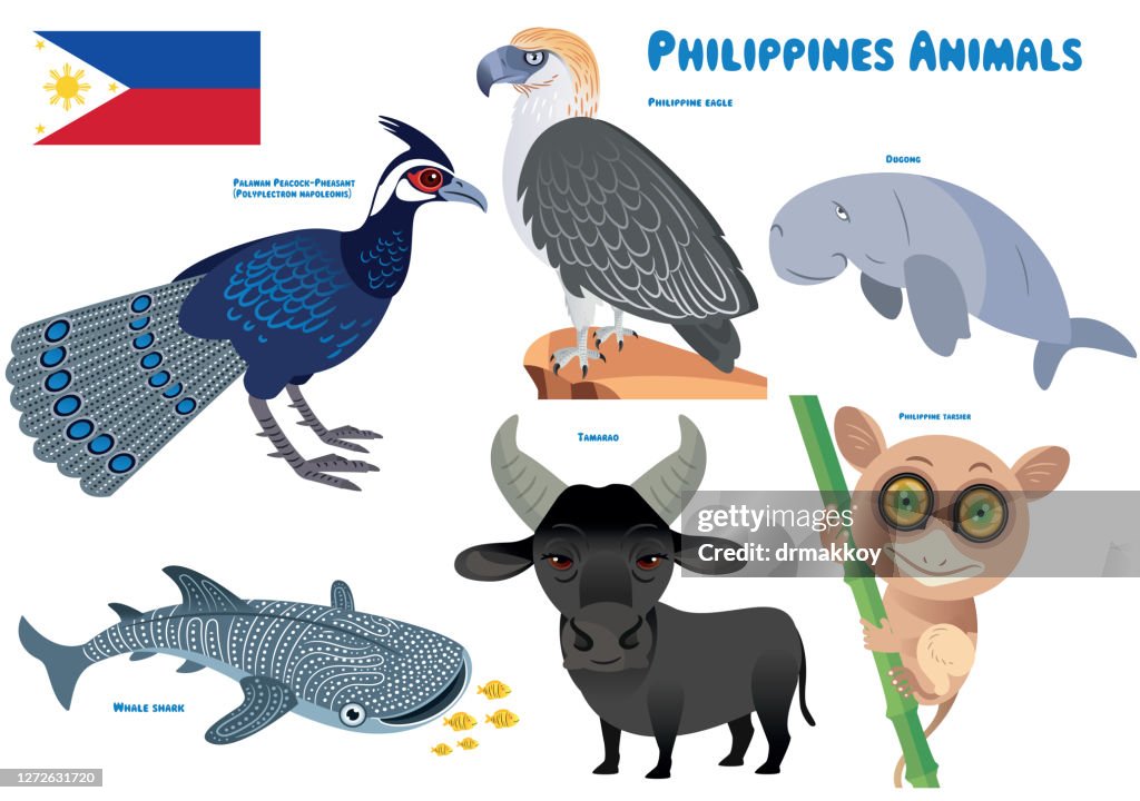 Philippines Animals