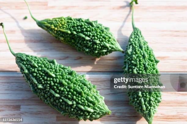 green bitter gourds - gourd stock pictures, royalty-free photos & images