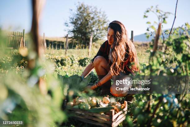 woman working on the organic farm - organic farm stock pictures, royalty-free photos & images