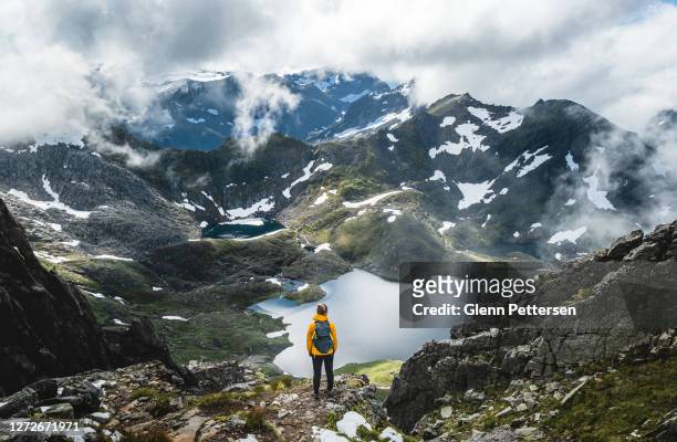 vrouw die dromerige vallei in noorwegen overziet. - berg stockfoto's en -beelden