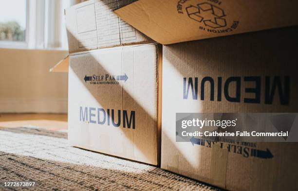 cardboard boxes in a domestic room during a house move - vräkning bildbanksfoton och bilder