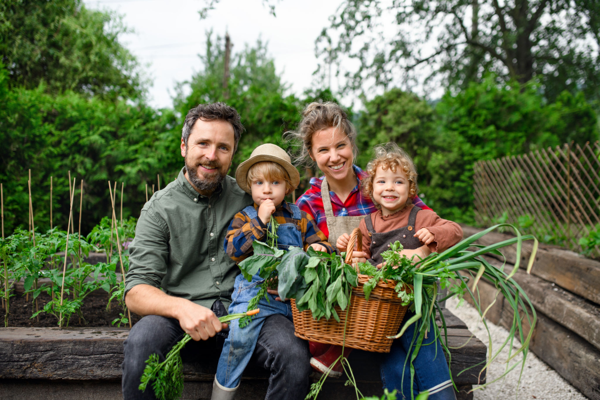 Family with small children gardening on farm, growing organic vegetables. Family with small children gardening on farm, growing organic vegetables.