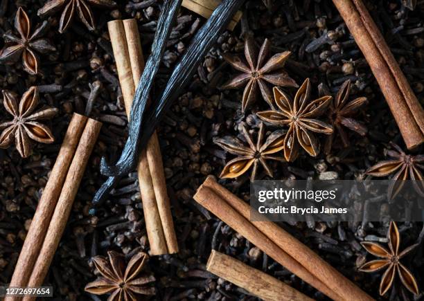 vanilleboon, kaneel, steranijs en kruidnagelachtergrond - anijs stockfoto's en -beelden