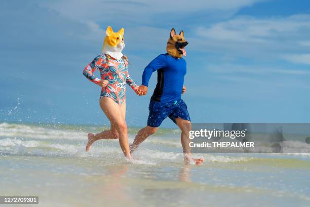 jong paar dat dierlijke maskers draagt die op het strand lopen - dog mask stockfoto's en -beelden