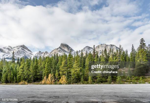 kurvenreiche bergstraße im banff nationalpark - bergstrasse stock-fotos und bilder