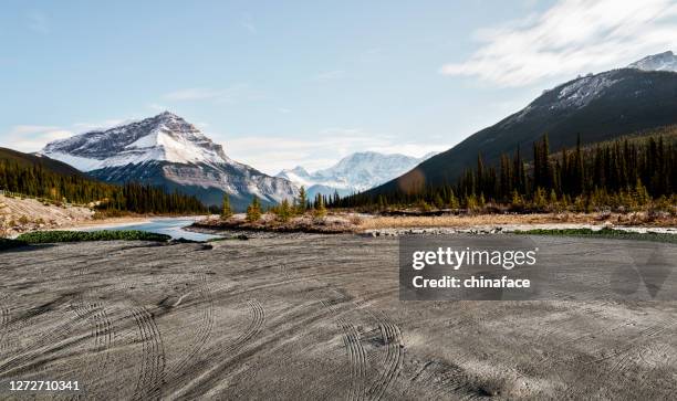 leerer schmutzstrand mit spuren gegen kanadische rockies - schotterstrecke stock-fotos und bilder