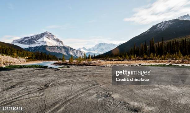 empty dirt beach with traces against canadian rockies - empty country road stock pictures, royalty-free photos & images