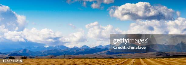 wind turbines behind harvested field against blue sky - alberta prairie stock pictures, royalty-free photos & images