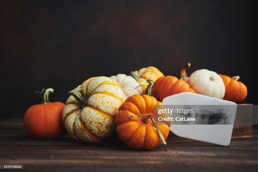 Sammlung von Miniatur-Kürbissen in Holzkiste mit GRATEFUL Nachricht für Herbst und Thanksgiving