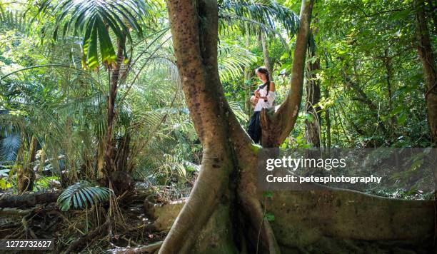 jeune femme d’okinawa dans un arbre avec ukulele - île d'iriomote photos et images de collection