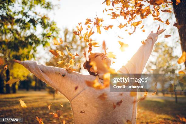 glückliche frau im herbstpark - herbst stock-fotos und bilder