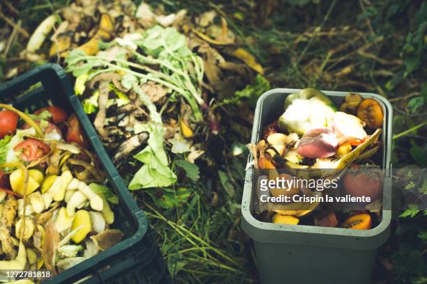 compost, organic matter - survival food stock pictures, royalty-free photos & images