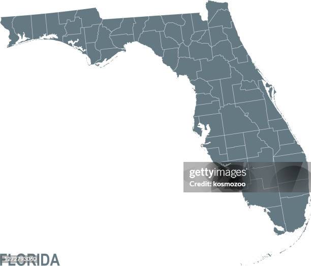basic map of florida including boundary lines - us map with counties stock illustrations