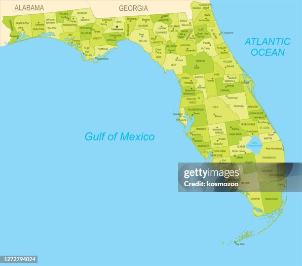 stockillustraties, clipart, cartoons en iconen met vlakke kaart van florida - florida state