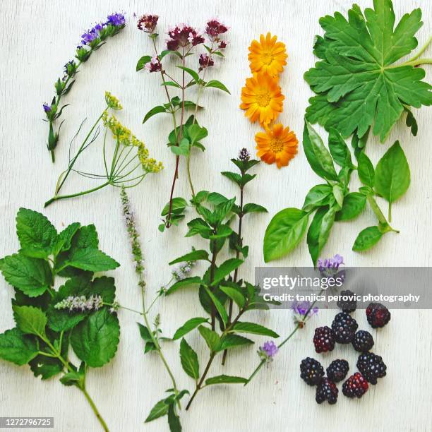 arrangement of edible herbs and plants - pot marigold stock pictures, royalty-free photos & images