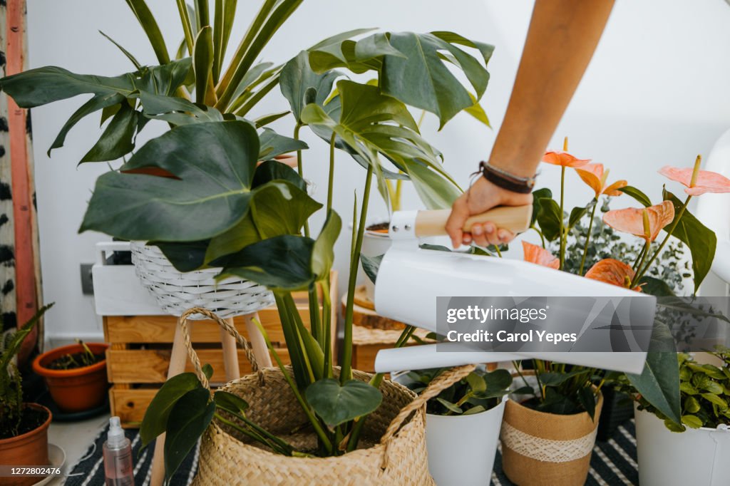 Young woman watering plants at home