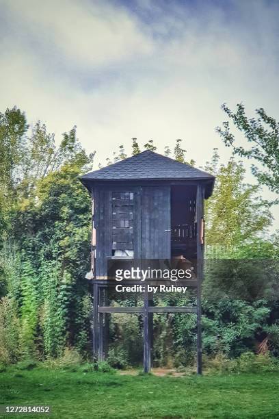 little black mysterious hut among the trees - creepy shack stock pictures, royalty-free photos & images