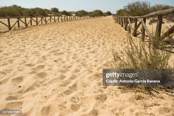 huelva, a sandy area that leads to the beach - la flecha - flecha stock pictures, royalty-free photos & images