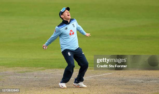 Eoin Morgan of England celebrates taking the catch of Marcus Stoinis of Australia during the 3rd Royal London One Day International Series match...