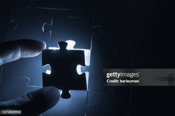 One Puzzle 893 Jigsaw Puzzle Pieces Template Stock Photos, High-Res Pictures, and ...