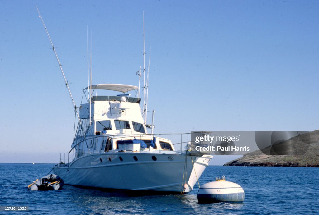 Splendor Natalie Wood