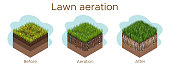Lawn care - aeration and scarification. Labels by stage-before, during, and after. Intake of substances-water, oxygen, and nutrients to feed the grass and soil. Vector isometric illustration isolated