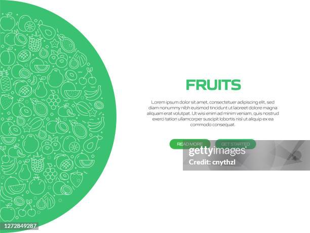fruits related banner design with pattern. modern line style icons vector illustration - pineapple pattern stock illustrations