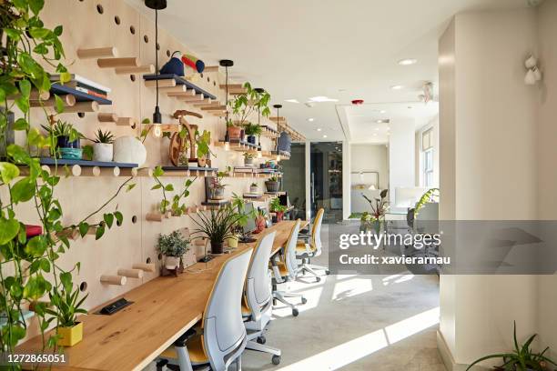 modern coworking office with long desk and office chairs - sunny office stock pictures, royalty-free photos & images