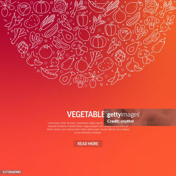 vegetables related banner design with pattern. modern line style icons vector illustration - cooked spinach stock illustrations