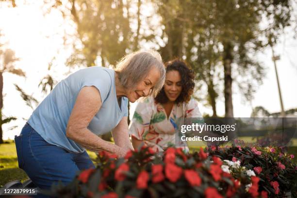 zwei frauen gartenblumen - adult woman garden flower stock-fotos und bilder