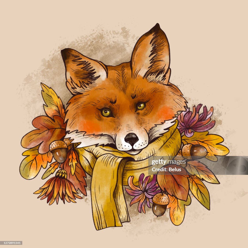 Hi Fall Fox Vintage Fall Illustration Cute Fox With Autumn Leaves And Acorns Brunch ...