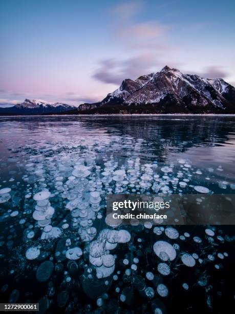 het meer van abraham in zonsopgang in de winter - abraham lake stockfoto's en -beelden