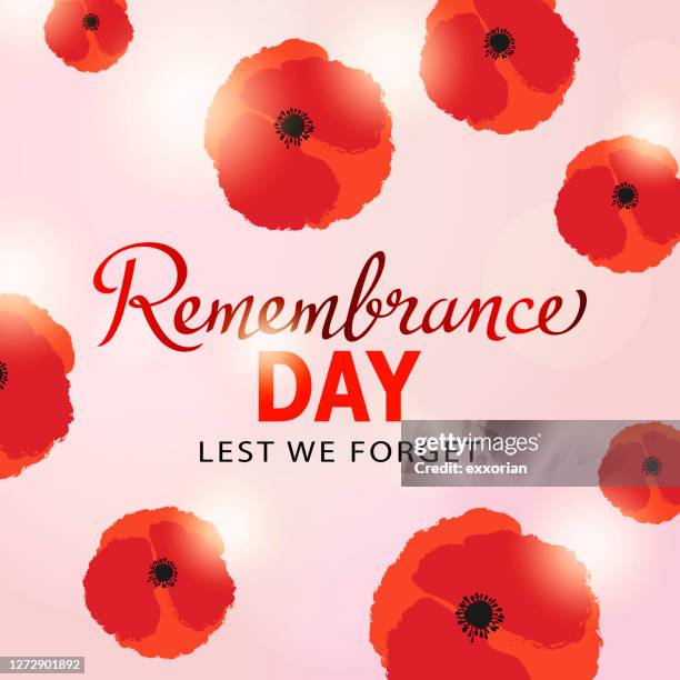 illustrations, cliparts, dessins animés et icônes de fleurs de pavot de jour du souvenir - remembrance sunday