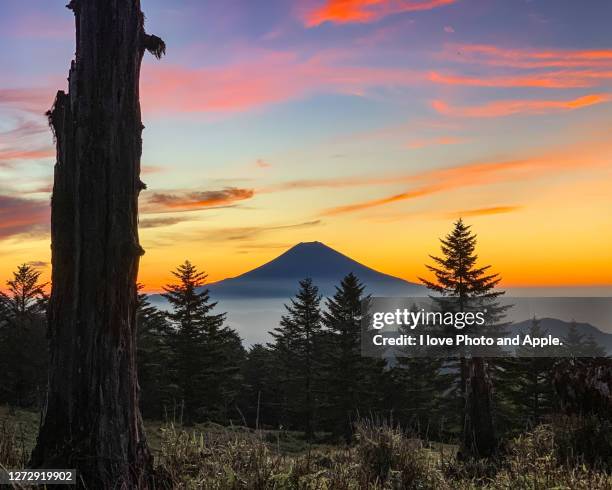 morning fuji in the brightly colored sky - 静岡市 stock pictures, royalty-free photos & images